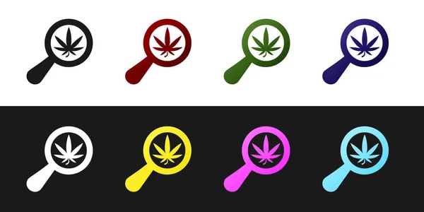 Set Magnifying glass and medical marijuana or cannabis leaf icon isolated on black and white background. Hemp symbol. Vector Illustration — Stock Vector