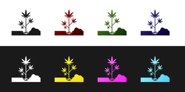 Ρυθμίστε το φυτό μαριχουάνα ή κάνναβης στο εικονίδιο γείωσης απομονώνεται σε μαύρο και άσπρο φόντο. Η ιδέα για την καλλιέργεια μαριχουάνας. Το σύμβολο της κάνναβης. Απεικόνιση διανυσματικών φορέων — Διανυσματικό Αρχείο
