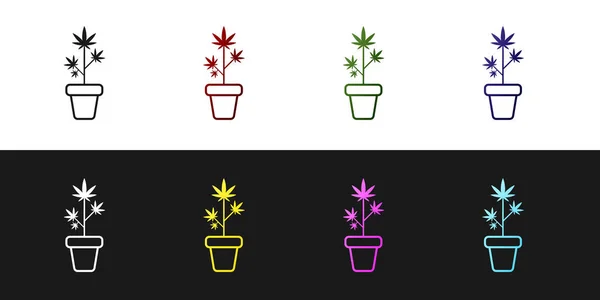 Defina a maconha medicinal ou planta de cannabis no ícone do pote isolado no fundo preto e branco. Conceito de cultivo de marijuana. Planta em vaso de cânhamo. Ilustração vetorial — Vetor de Stock