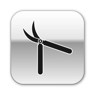 Siyah Bahçe beyaz arka plan üzerinde izole simge kırpma için el yapımı makas. Ahşap saplı budama makasları. Gümüş kare düğme. Vektör İllüstrasyonu