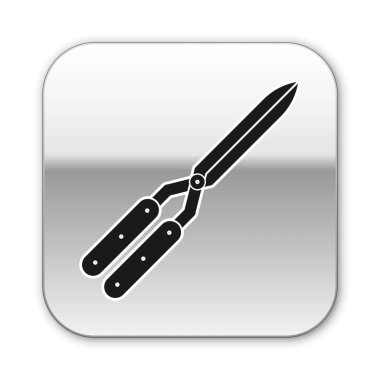 Siyah Bahçe beyaz arka plan üzerinde izole simge kırpma için el yapımı makas. Ahşap saplı budama makasları. Gümüş kare düğme. Vektör İllüstrasyonu