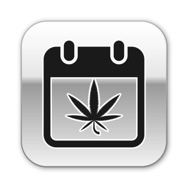 Siyah Takvim ve marihuana veya esrar yaprağı simgesi beyaz arka plan üzerinde izole. Ulusal oluk günü. Kenevir sembolü. Gümüş kare düğme. Vektör İllüstrasyonu