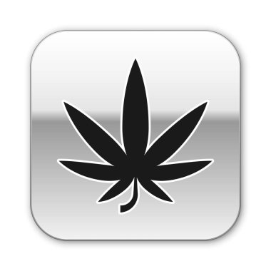 Siyah tıbbi marihuana ya da kenevir yaprağı ikonu beyaz arka planda izole edilmiş. Kenevir sembolü. Gümüş kare düğme. Vektör İllüstrasyonu