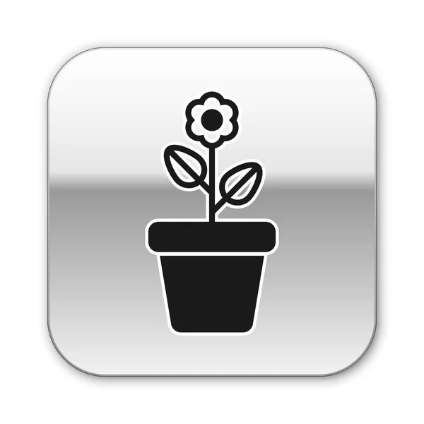 Černá květina ve ikoně hrnce izolovaná na bílém pozadí. Rostliny rostou v hrnci. Značka květináč. Stříbrné čtvercové tlačítko. Vektorová ilustrace — Stockový vektor
