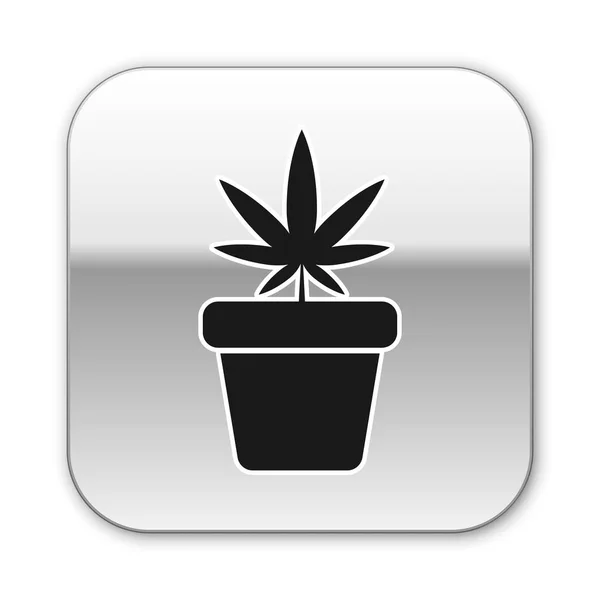 Black Medical marijuana o pianta di cannabis in pot icon isolato su sfondo bianco. Concetto di coltivazione della marijuana. Pianta in vaso di canapa. Pulsante quadrato argento. Illustrazione vettoriale — Vettoriale Stock