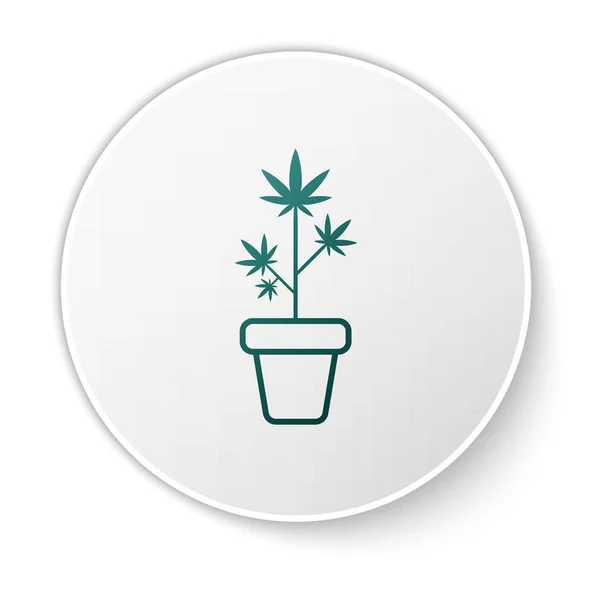 Yeşil Tıbbi esrar veya esrar bitki saksı simgesi beyaz arka plan üzerinde izole. Marihuana yetiştirme konsepti. Kenevir saksı bitki. Beyaz daire düğmesi. Vektör İllüstrasyonu — Stok Vektör