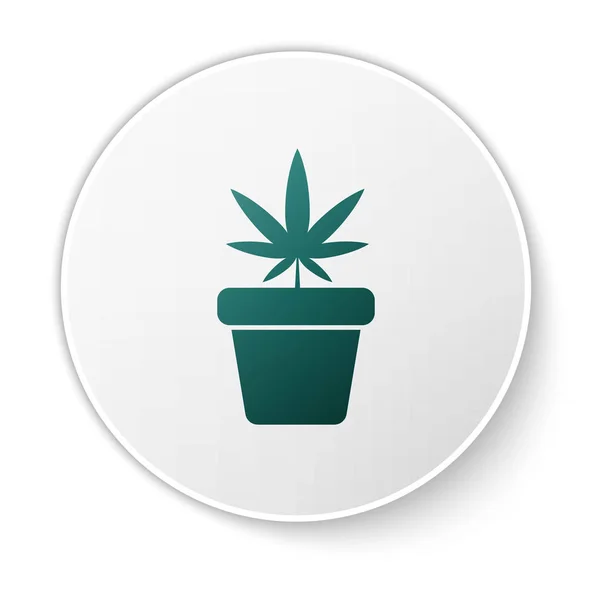 Зеленая медицинская марихуана или конопля растение в горшок значок изолированы на белом фоне. Концепция выращивания марихуаны. Конопля в горшочке. Кнопка белого круга. Векторная миграция — стоковый вектор