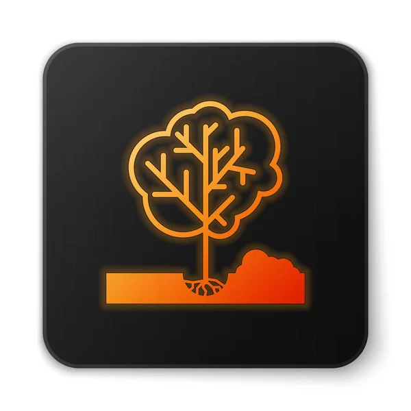 Orange leuchtende Pflanzung eines Baumes in den Boden Symbol isoliert auf weißem Hintergrund. Gartenarbeit, Landwirtschaft, Umweltschutz. schwarzer quadratischer Knopf. Vektorillustration — Stockvektor