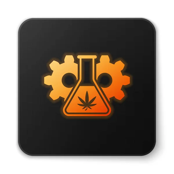 Помаранчева світиться неонова хімічна пробірка з іконою листя марихуани або канабісу ізольована на білому тлі. Дослідницька концепція. Концепція лабораторної нафти CBD. Чорна квадратна кнопка. Векторна ілюстрація — стоковий вектор
