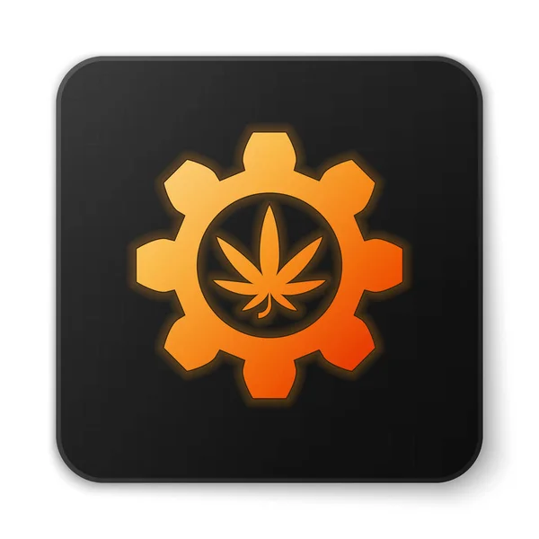 Orange glowing neon Chemical test tube with marijuana or cannabis leaf icon isolated on white background. Research concept. Laboratory CBD oil concept. Black square button. Vector Illustration — Stock Vector