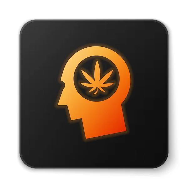 Orange glödande neonsilhuett av manligt huvud i profil med marijuana eller cannabis Leaf ikon isolerad på vit bakgrund. Marijuana legalisering. Hampa symbol. Svart fyrkantig knapp. Vektor illustration — Stock vektor