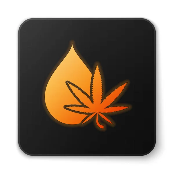 Orange glödande neon Medicinsk marijuana eller cannabis blad olivolja droppe ikon isolerad på vit bakgrund. Cannabisextrakt. Hampa symbol. Svart fyrkant. Vektor Illustration — Stock vektor