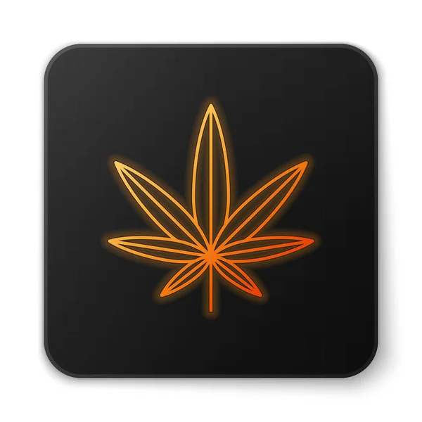 Naranja brillante neón Marihuana medicinal o icono de hoja de cannabis aislado sobre fondo blanco. Un símbolo de cáñamo. Botón cuadrado negro. Ilustración vectorial — Archivo Imágenes Vectoriales