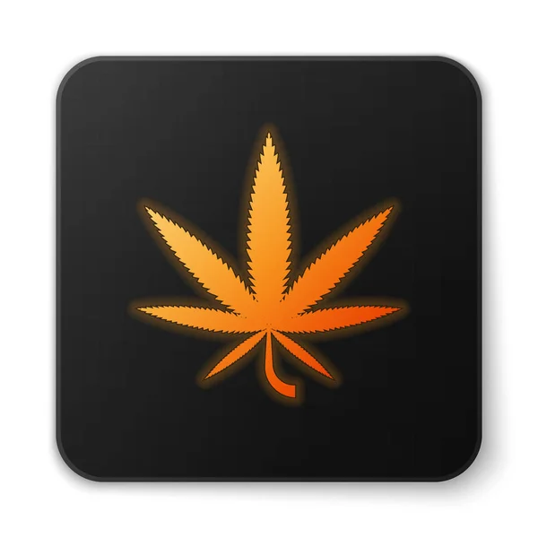 Neon arancione incandescente Icona medica di marijuana o foglie di cannabis isolata su sfondo bianco. Simbolo di canapa. Pulsante quadrato nero. Illustrazione vettoriale — Vettoriale Stock