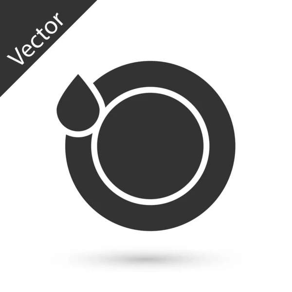 Gris Icono de los platos de lavado aislado sobre fondo blanco. Placa y esponja. Icono de platos de limpieza. Señal de lavavajillas. Signo de vajilla limpia. Ilustración vectorial — Vector de stock