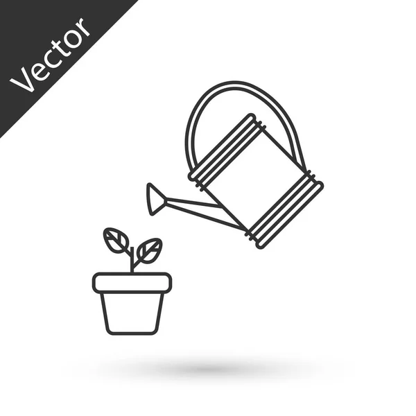 Grey Watering puede rociar gotas de agua por encima de la planta en el icono de la olla aislada sobre fondo blanco. Símbolo de riego. Ilustración vectorial — Vector de stock