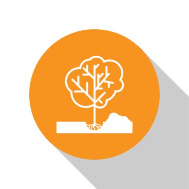 Beyaz beyaz arka plan üzerinde izole zemin simgesinde bir ağaç dikim. Bahçıvanlık, tarım, çevreye bakmak. Turuncu daire düğmesi. Vektör İllüstrasyonu