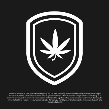 Kara Kalkan ve marihuana ya da siyah arka planda izole edilmiş kenevir yaprağı ikonu. Marihuanayı yasallaştırma. Kenevir sembolü. Vektör İllüstrasyonu