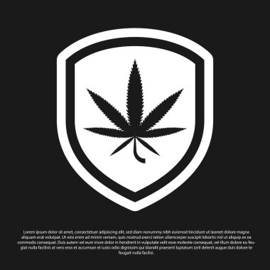 Kara Kalkan ve marihuana ya da siyah arka planda izole edilmiş kenevir yaprağı ikonu. Marihuanayı yasallaştırma. Kenevir sembolü. Vektör İllüstrasyonu