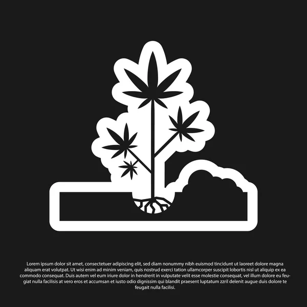 Piantare marijuana nera o pianta di cannabis nell'icona di terra isolata su sfondo nero. Concetto di coltivazione della marijuana. Simbolo di canapa. Illustrazione vettoriale — Vettoriale Stock