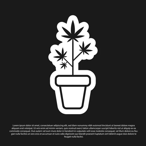 Black Medical marijuana atau tanaman ganja di ikon pot terisolasi pada latar belakang hitam. Marijuana tumbuh konsep. Hemp pot tanaman. Ilustrasi Vektor - Stok Vektor