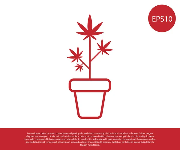 Red Medical marihuana nebo konopí rostlina v květináči ikona izolované na bílém pozadí. Koncept pěstování marihuany. Rostlina v konopí. Vektorová ilustrace — Stockový vektor