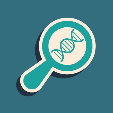 Yeşil DNA araştırması, mavi arka planda izole edilmiş arama simgesi. Büyüteç ve DNA zinciri. Genetik mühendisliği, klonlama, babalık testi. Uzun gölge stili. Vektör İllüstrasyonu