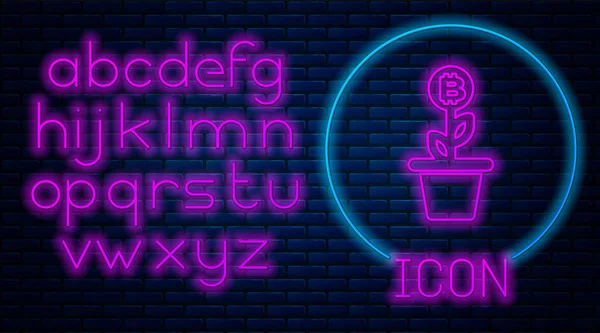 Świecące Neon Bitcoin roślin w puli ikona izolowane na tle muru ceglanego. Koncepcja wzrostu inwestycji biznesowych. Technologia Blockchain, wydobycie kryptowalut. Neon światła alfabetu. Ilustracja wektorowa — Wektor stockowy