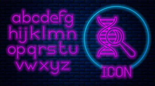 Gloeiend Neon DNA-onderzoek, zoek icoon geïsoleerd op bakstenen muur achtergrond. Vergrootglas en DNA-keten. Genetische manipulatie, klonen, vaderschaps testen. Neon licht alfabet. Vector illustratie — Stockvector