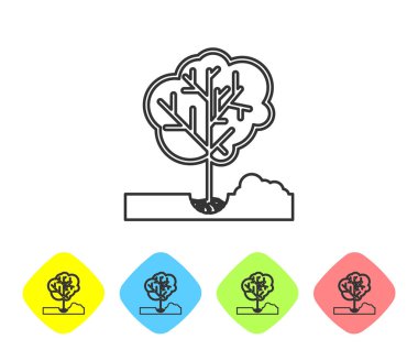 Gri çizgi Beyaz arka plan üzerinde izole zemin simgesine bir ağaç dikme. Bahçıvanlık, tarım, çevreye bakmak. Renk eşkenar dörtgen düğmelerinde simgeyi ayarlayın. Vektör İllüstrasyonu