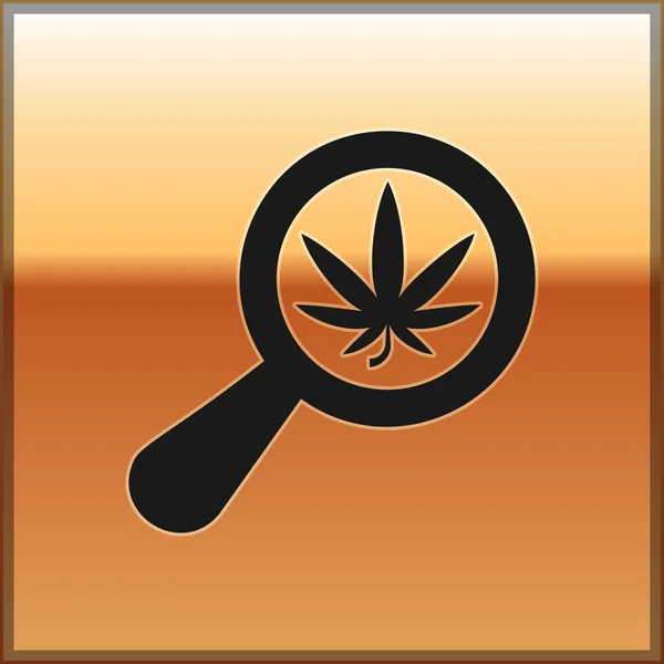 Black Magnifying glass and medical marijuana or cannabis leaf icon isolated on gold background. Hemp symbol. Vector Illustration — Stock Vector