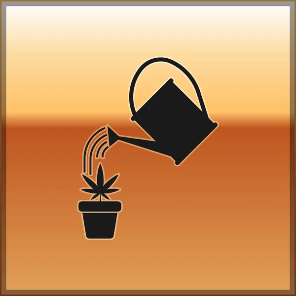 Black Watering can sprays water drops above marijuana or cannabis plant in pot icon isolated on gold background. Marijuana growing concept. Vector Illustration — Stock Vector