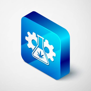 Beyaz arka planda marihuana ya da kenevir yaprağı ikonu bulunan Isometric Kimyasal test tüpü. Araştırma konsepti. Laboratuvar Cbd yağı konsepti. Mavi kare düğme. Vektör İllüstrasyonu