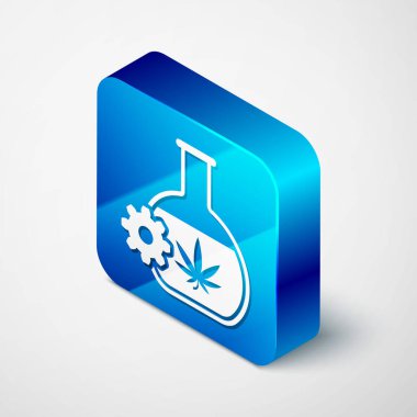 Beyaz arka planda marihuana ya da kenevir yaprağı ikonu bulunan Isometric Kimyasal test tüpü. Araştırma konsepti. Laboratuvar Cbd yağı konsepti. Mavi kare düğme. Vektör İllüstrasyonu