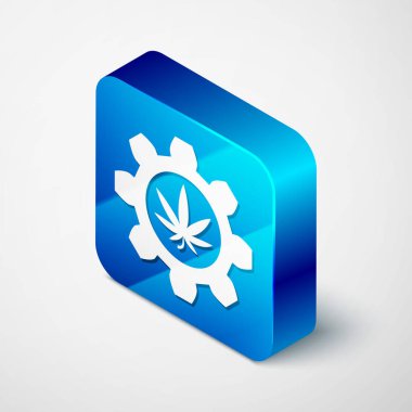 Beyaz arka planda marihuana ya da kenevir yaprağı ikonu bulunan Isometric Kimyasal test tüpü. Araştırma konsepti. Laboratuvar Cbd yağı konsepti. Mavi kare düğme. Vektör İllüstrasyonu