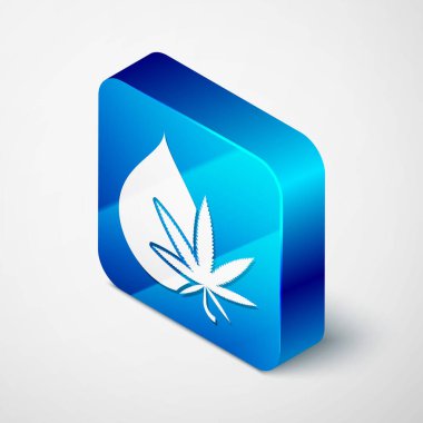 Beyaz arka planda izole edilmiş tıbbi marihuana veya kenevir yaprağı zeytinyağı damlası ikonu. Esrar özütü. Kenevir sembolü. Mavi kare düğme. Vektör İllüstrasyonu