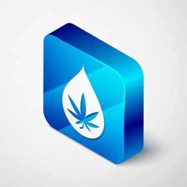 Beyaz arka planda izole edilmiş tıbbi marihuana veya kenevir yaprağı zeytinyağı damlası ikonu. Esrar özütü. Kenevir sembolü. Mavi kare düğme. Vektör İllüstrasyonu