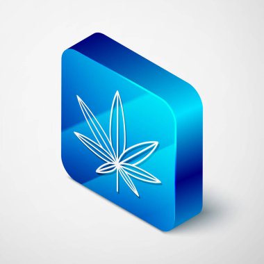 Beyaz arka planda izole edilmiş tıbbi marihuana ya da kenevir yaprağı ikonu. Kenevir sembolü. Mavi kare düğme. Vektör İllüstrasyonu