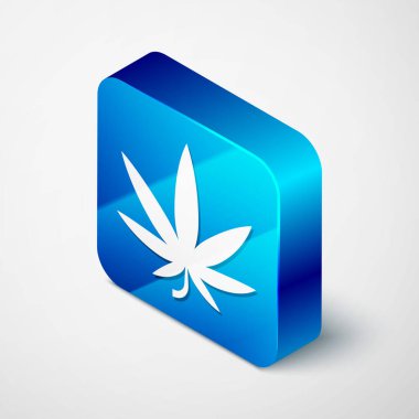 Beyaz arka planda izole edilmiş tıbbi marihuana ya da kenevir yaprağı ikonu. Kenevir sembolü. Mavi kare düğme. Vektör İllüstrasyonu
