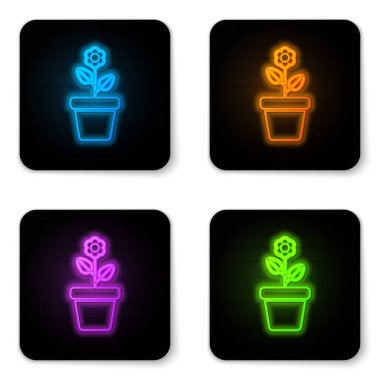 Beyaz arkaplanda izole edilmiş tencere simgesinde parlayan neon çiçeği. Tencerede yetişen bir bitki. Saksı bitkisi işareti. Siyah kare düğme. Vektör İllüstrasyonu