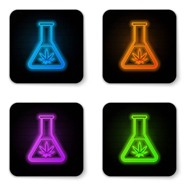 Beyaz arka planda marihuana ya da kenevir yaprağı ikonu bulunan parlak neon kimya test tüpü. Araştırma konsepti. Laboratuvar Cbd yağı konsepti. Siyah kare düğme. Vektör İllüstrasyonu