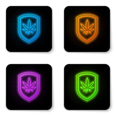 Parlayan neon kalkanı ve marihuana ya da beyaz arka planda izole edilmiş kenevir yaprağı ikonu. Marihuanayı yasallaştırma. Kenevir sembolü. Siyah kare düğme. Vektör İllüstrasyonu