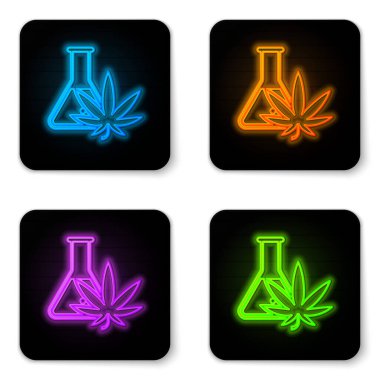 Beyaz arka planda marihuana ya da kenevir yaprağı ikonu bulunan parlak neon kimya test tüpü. Araştırma konsepti. Laboratuvar Cbd yağı konsepti. Siyah kare düğme. Vektör İllüstrasyonu