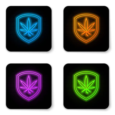 Parlayan neon kalkanı ve marihuana ya da beyaz arka planda izole edilmiş kenevir yaprağı ikonu. Marihuanayı yasallaştırma. Kenevir sembolü. Siyah kare düğme. Vektör İllüstrasyonu