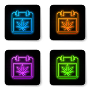 Beyaz arkaplanda parlayan neon takvim ve marihuana veya kenevir yaprağı ikonu izole. Ulusal esrar günü. Kenevir sembolü. Siyah kare düğme. Vektör İllüstrasyonu