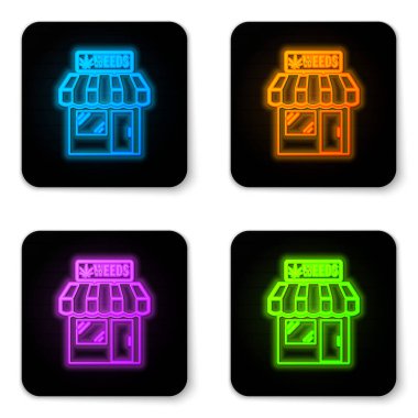Parlayan neon marihuana ve kenevir dükkanı ikonu beyaz arka planda izole edilmiş. Sigara içmek, tıbbi esrar depolamak için ekipman ve aksesuarlar. Siyah kare düğme. Vektör İllüstrasyonu