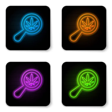 Parlayan neon büyüteç ve tıbbi marihuana veya beyaz arka planda izole edilmiş kenevir yaprağı ikonu. Kenevir sembolü. Siyah kare düğme. Vektör İllüstrasyonu