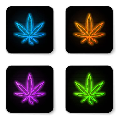 Beyaz arka planda parlayan neon neon tıbbi marihuana veya kenevir yaprağı ikonu. Kenevir sembolü. Siyah kare düğme. Vektör İllüstrasyonu