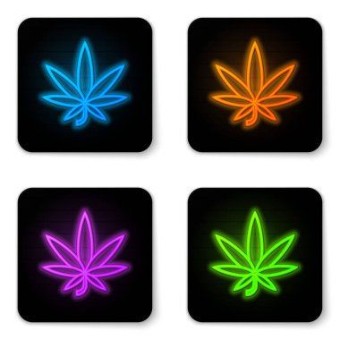 Beyaz arka planda parlayan neon neon tıbbi marihuana veya kenevir yaprağı ikonu. Kenevir sembolü. Siyah kare düğme. Vektör İllüstrasyonu