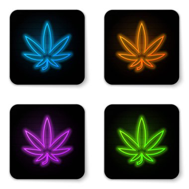 Beyaz arka planda parlayan neon neon tıbbi marihuana veya kenevir yaprağı ikonu. Kenevir sembolü. Siyah kare düğme. Vektör İllüstrasyonu